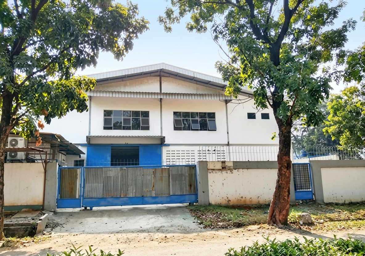 plant3 HOME & ABOUT US